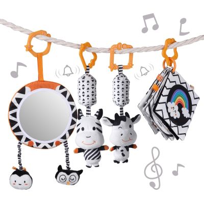 Set Animales, Espejo y Tarjetas en Alto Contraste