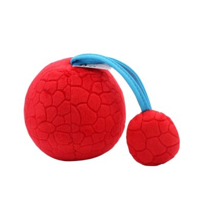 Pelota con Agarre y Sonajero